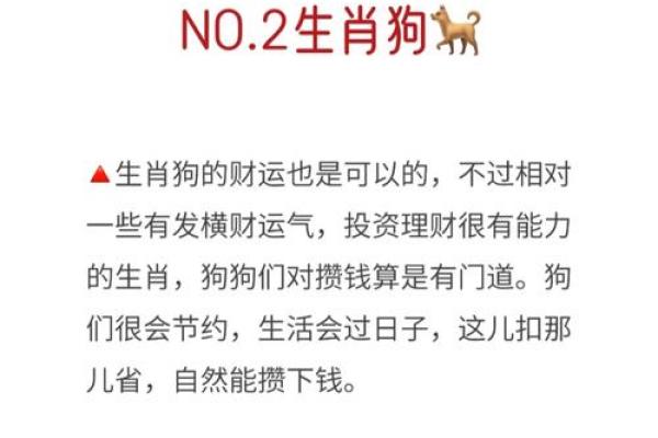 风雨无阻什么生肖 风雨无阻打一生肖
