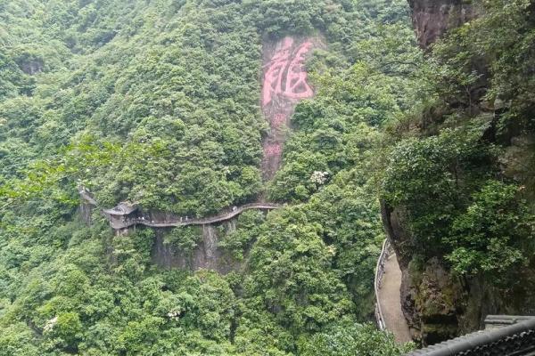 铜筋铁骨”打一个生肖动物 铜筋铁骨对应生肖动物查询