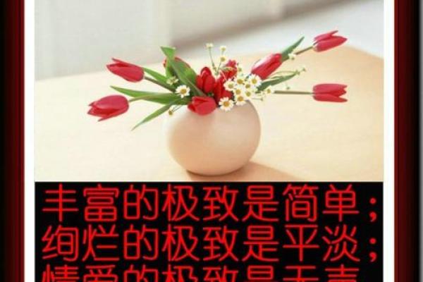 金玉良言是什么生肖 金玉良言代表什么动物