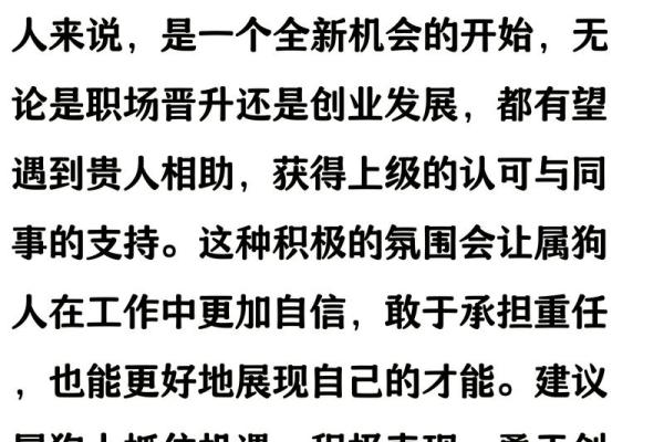 1958年属狗女在2024年财运和事业运会有怎样的变化与发展