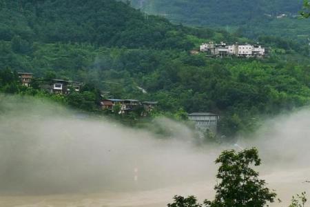 阴雨绵绵冻死狗”是什么生肖 阴雨绵绵冻死狗打一生肖