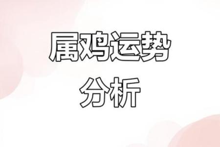 属鸡人2024年每月运势详解及财运健康感情全面解析