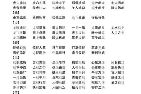 鼠肚鸡肠是什么生肖 鼠肚鸡肠打一生肖答案