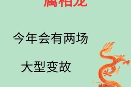 龙行风雨西方来代表什么生肖 龙行风雨西方来指什么动物