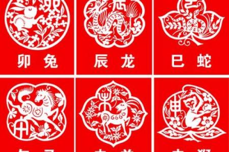 2024年属鸡的今年几岁？详细年份与年龄对照表大全