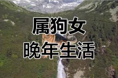 1970年属狗女性2025年运势详解及每月运程完整版分析