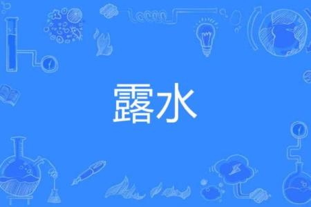 露水夫妻打一动物 露水夫妻指什么动物