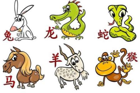 龟鹤之年”打一个生肖动物 龟鹤之年代表什么生肖
