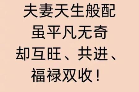 风雨无阻什么生肖 风雨无阻打一生肖