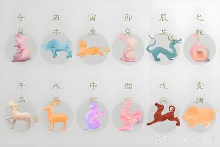 阴阳颠倒打一个生肖 阴阳生肖颠倒代表什么动物