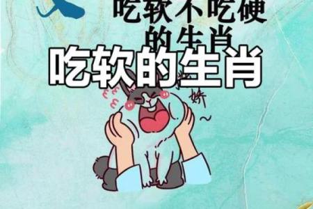 软硬不吃打一生肖 软硬不吃代表哪个生肖