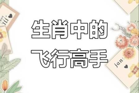 遮风挡雨”打一个生肖动物 十二生肖中遮风挡雨的动物