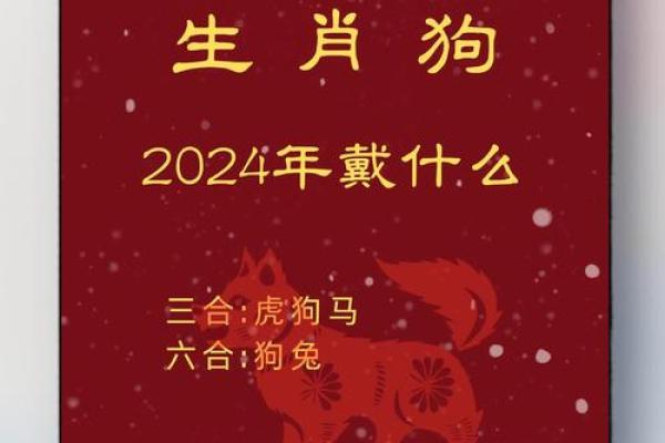 属狗的人2024年每月运程如何，需要注意哪些重要事项和禁忌
