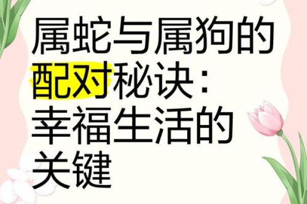 属狗和属狗的婚姻配对如何？性格是否合适长久相处？