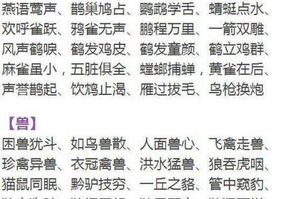 鸡皮鹤发是什么生肖 鸡皮鹤发打一生肖答案