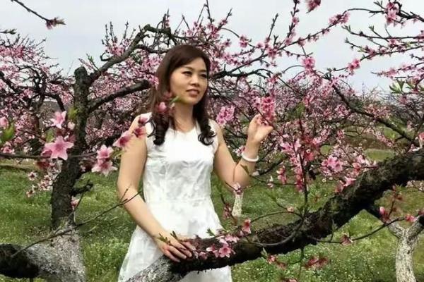 香风十里珠帘卷是什么生肖 香风十里珠帘卷打一生肖