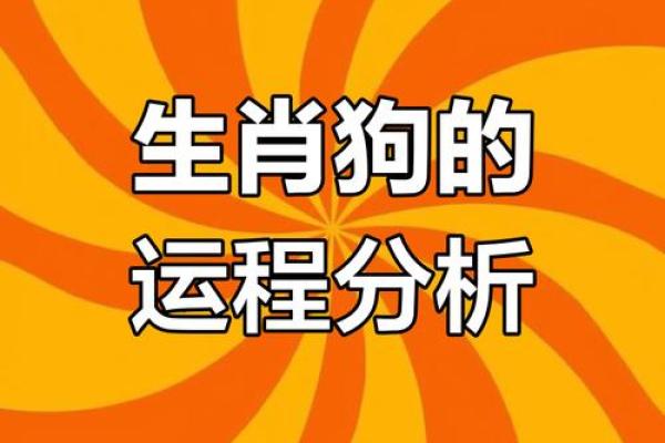 1982年属狗2025年每月运势如何及需要注意什么