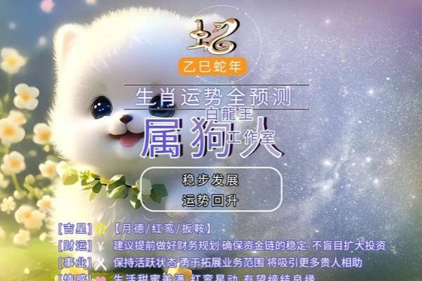 属狗人2025年全年运势详解，每月运程完整版及得把眼睛擦亮了分析