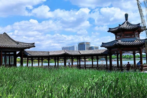 锦绣河山打一个生肖 锦绣河山对应生肖是什么