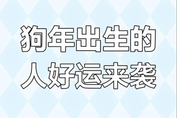 2025年属狗人全年运势详解：每月运程、财运健康及得把眼睛擦亮了完整版