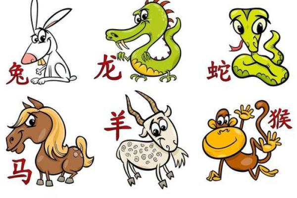 鼠肚鸡肠 是什么生肖 鼠肚鸡肠对应生肖性格解析
