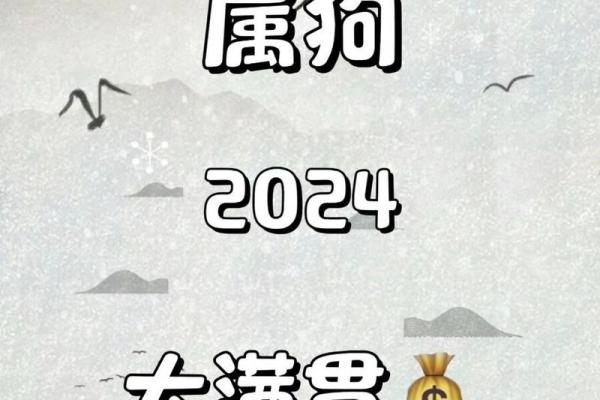 1994年出生的属狗女2024年整体运势详解有婚姻建议