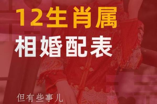 属狗与属蛇的婚姻相配度如何？性格合不合？