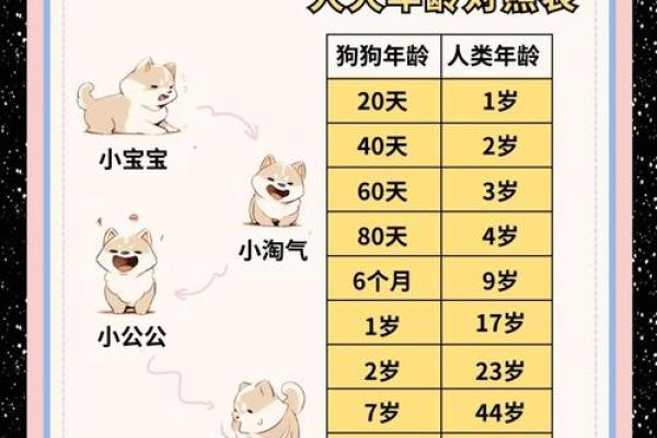 2024年属狗年龄查询表：不同年份出生的人今年几岁？