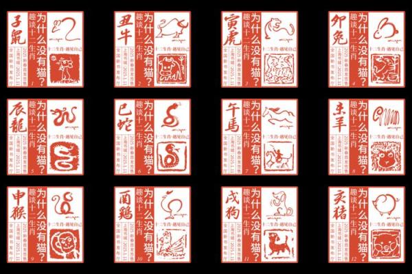 风华绝代打一生肖 风华绝代生肖谜语答案
