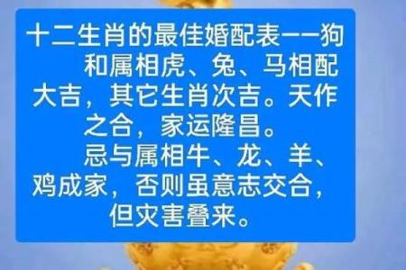 1982年出生的属狗者最佳婚配属相有哪些