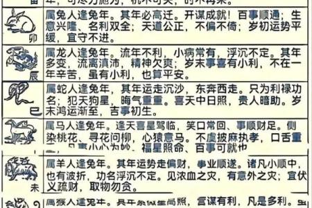 鸡年出生的人在2023年兔年的整体运势和财运详解