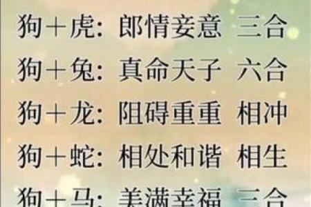 属狗和属狗的婚姻配对如何？性格是否合适长久相处？