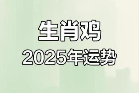 2025年属鸡人的每月运程如何？哪个月份最适合投资和跳槽？