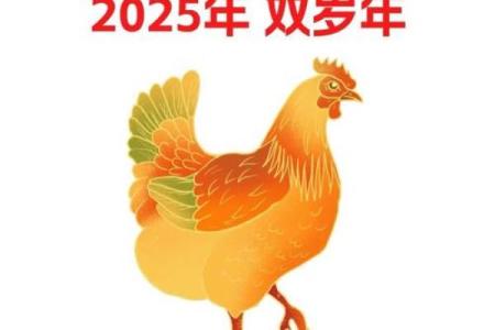 1969年出生属鸡者2025年财运健康运势解析与开运建议