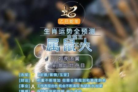 静观其变”打一个生肖动物 静观其变打一生肖动物谜底