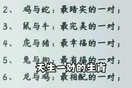 黑牛白角”打一个生肖动物 黑牛白角打一生肖动物答案