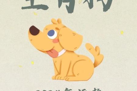 属狗的人2025年全年运势如何？需要注意哪些方面？