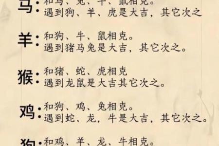 邻鸡惊晓是指什么生肖 邻鸡惊晓对应属相解析