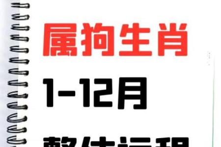 2025年属狗人穿什么颜色的衣服能提升运势