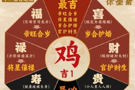 2005年出生的属鸡者2024年学业运势和健康运程全面解析