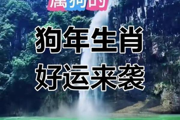 2025年属狗人的财运和事业运详解,有什么机遇和挑战? 2025年属狗人的财运和事业运详解,有什么机遇和挑战?